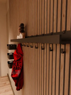 aku-wallclip-wandplank-met-haken-groot.webp